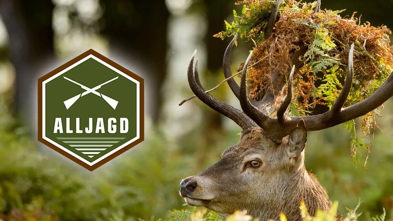 Hirsch im Wald mit eingefügtem Alljagd-Logo