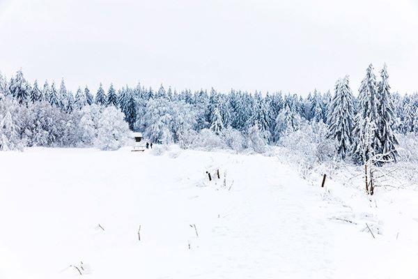 Jagdrevier Schnee